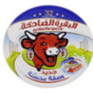 Lavache-Quirit-Triangle-Cheese-480g-8218-01