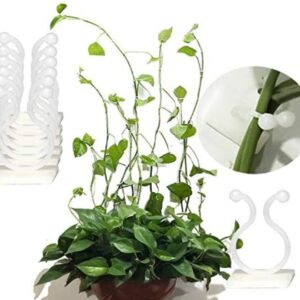 Wall Plant Hanger Sticky Clips (50pcs)