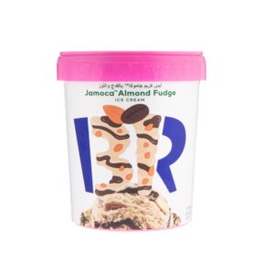 Baskin-Robbins-Jamoca-Almond-Fudge-Ice-Cream-1-Litre