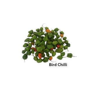 Bird-Round-Chilly