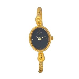 Titan-197YM05-WoMens-Watch-Raga-Collection-Analog-Black-Dial-Gold-Stainless-Band