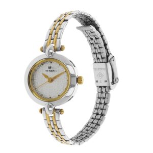 Titan-2521BM01-WoMens-Watch-Karishma-Collection-Analog-Silver-Dial-Silver-Gold-Stainless-Band