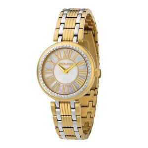 Police-PW-P14987BSTG-D-Womens-Watch-Analog-Silver-Dial-Silver-Gold-Stainless-Band