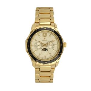 Titan-1688KM01-Men-s-WatchChampagne-Dial-Gold-Stainless-Steel-Strap-Watch
