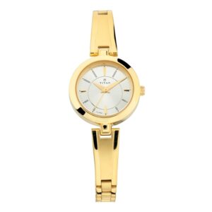 Titan-2598YM02-WoMens-Watch-Silver-Dial-Gold-Stainless-Steel-Strap-Watch-