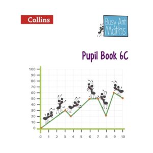 Busy-Ant-Maths-Pupil-Book-6C