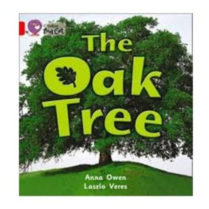 Collins-Big-Cat-The-Oak-Tree-Workbook