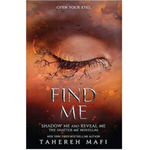 Find-Me-Shatter-Me-8-