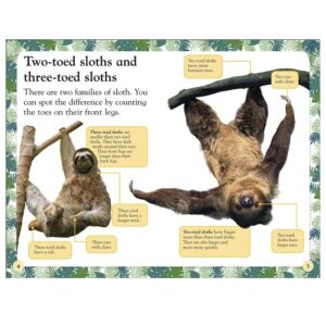 Sloths-DK-Readers-Level-2-