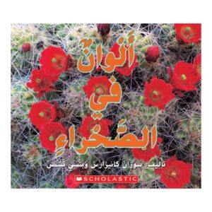 Arabic-Books-Colors-in-the-desert